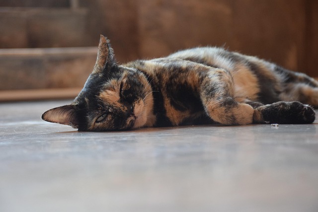 sleep