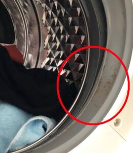 洗濯機掃除中の画像