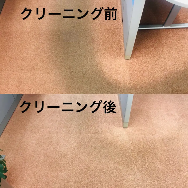 カーペット掃除前後の比較画像