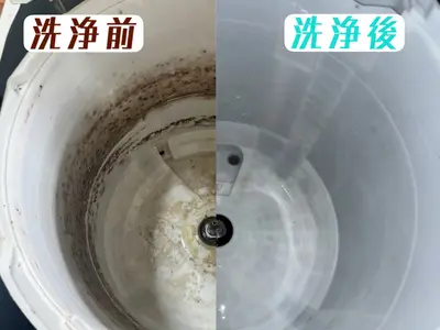 洗濯槽掃除前後の比較画像