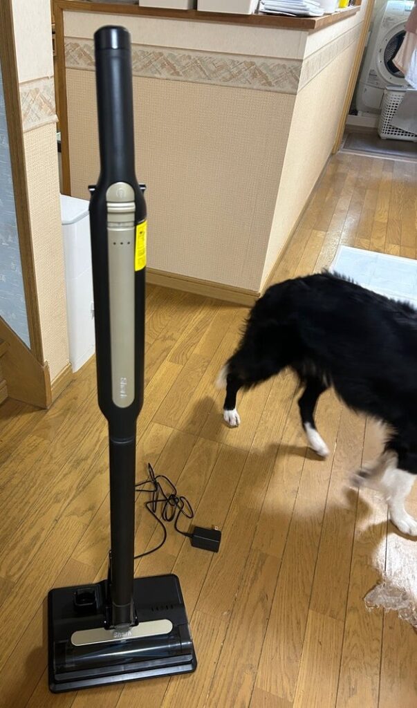 ペットの毛掃除に使う掃除機の画像