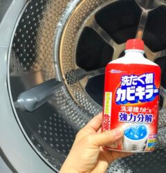ドラム洗濯機掃除中の画像
