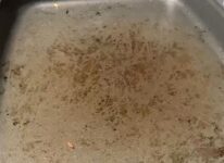 ホットプレート掃除前の画像