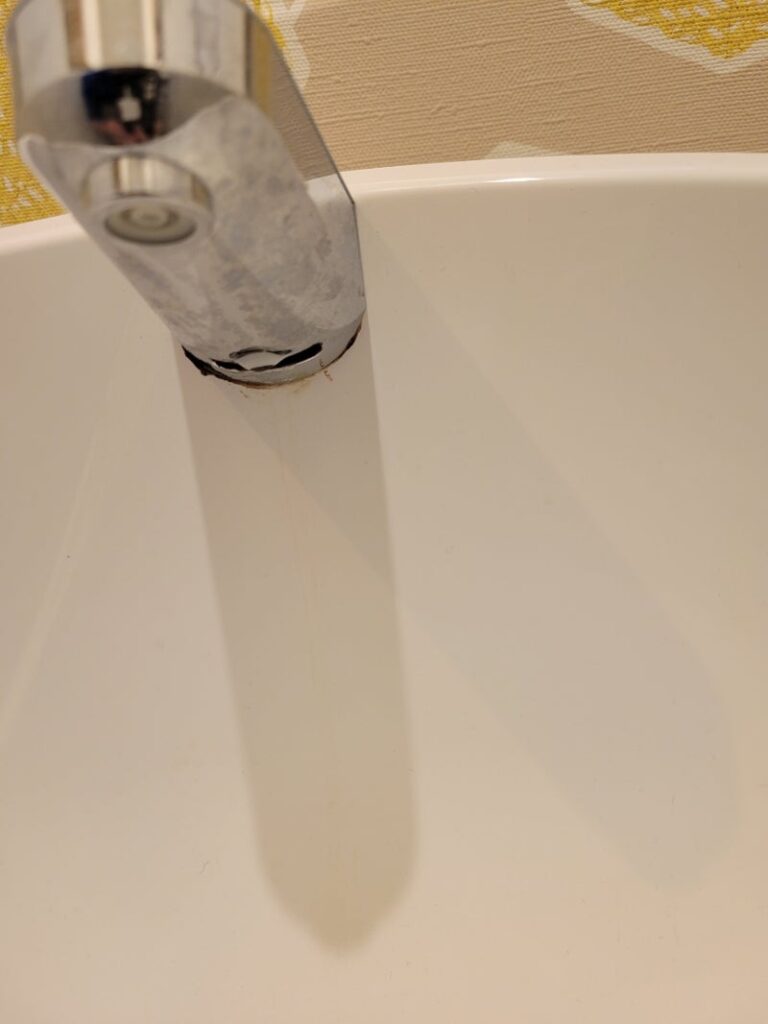 蛇口掃除前の汚れた画像