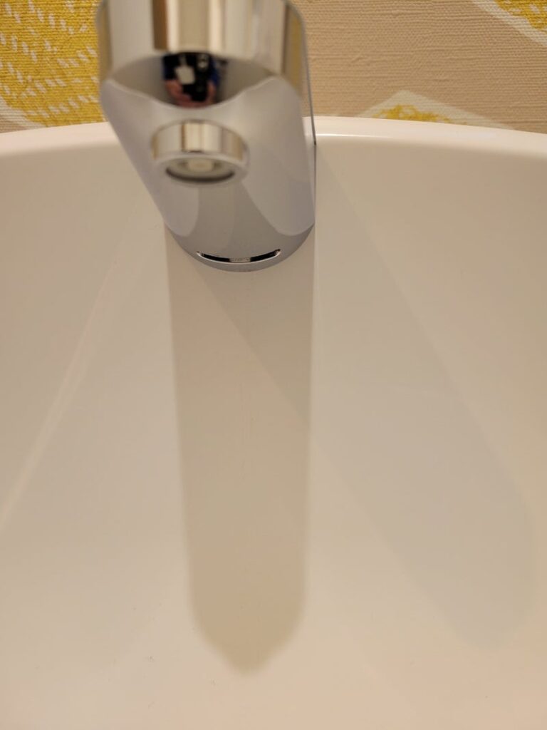 蛇口掃除後の綺麗な画像